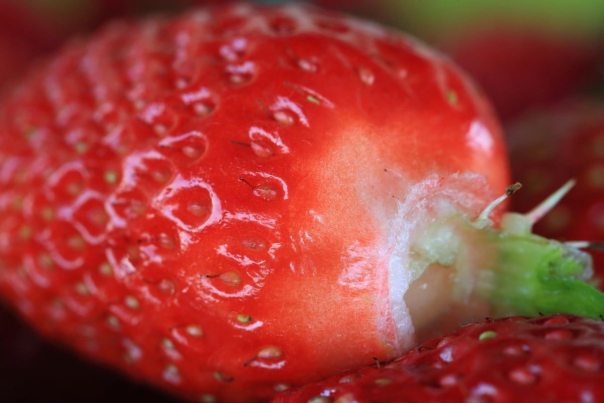 Gesunde Ernährung für Anfänger: 7 praktische Tipps für den Einstieg 2026