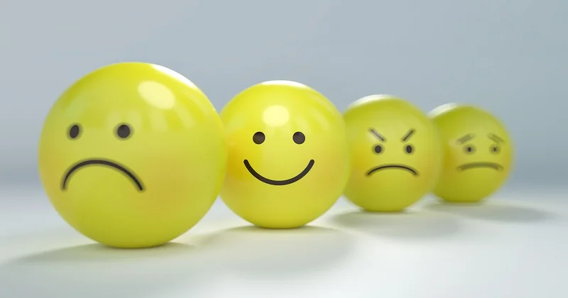Lebensbaum Bedeutung Psychologie: warum das Bild so gut funktioniert